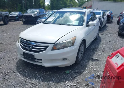 2011 Honda Accord Exl z USA, uszkodzony, nr VIN 1HGCP3F85BA031055